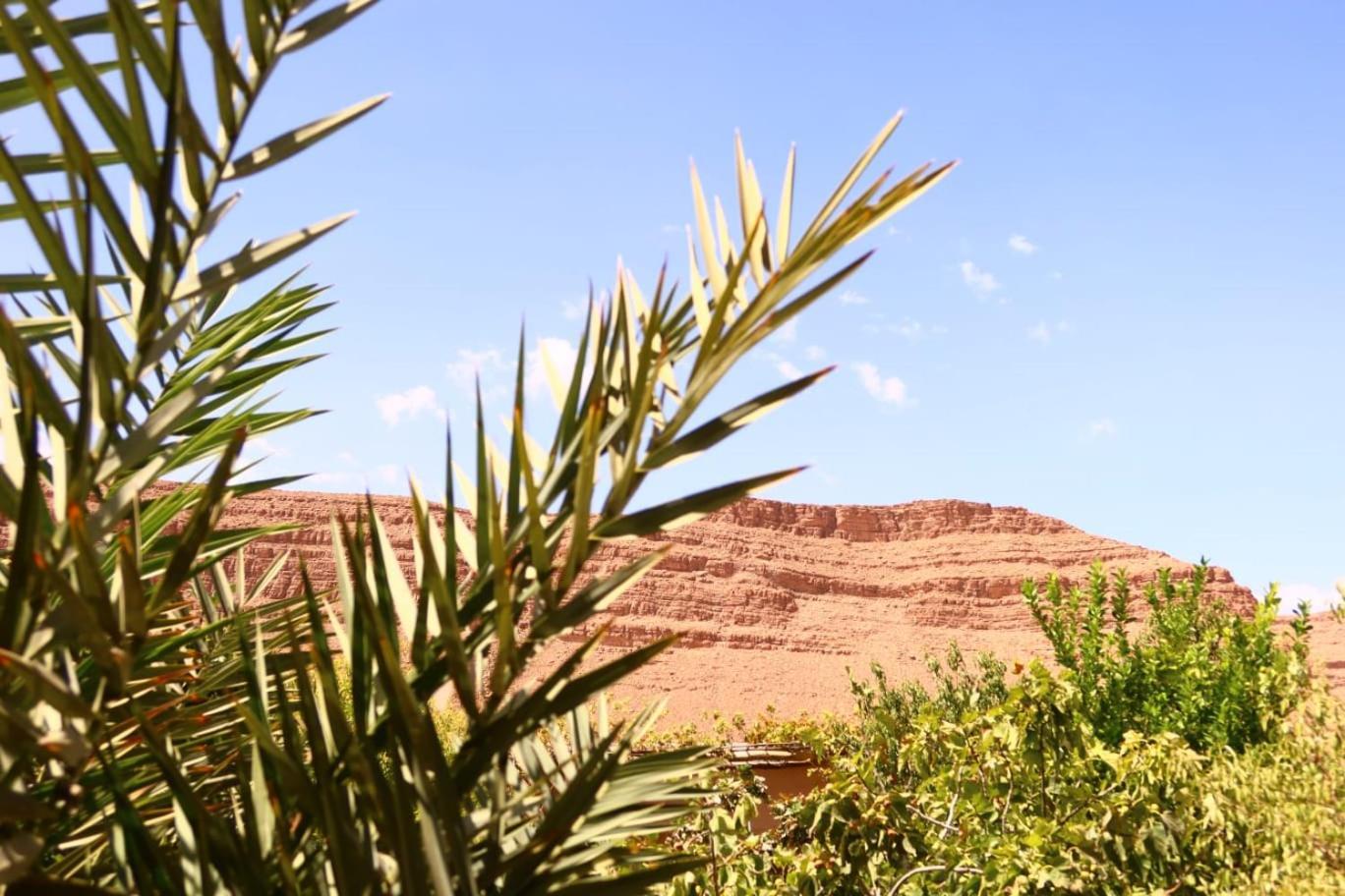 Gite D'Etape Ziz Oasis Achbarou Extérieur photo
