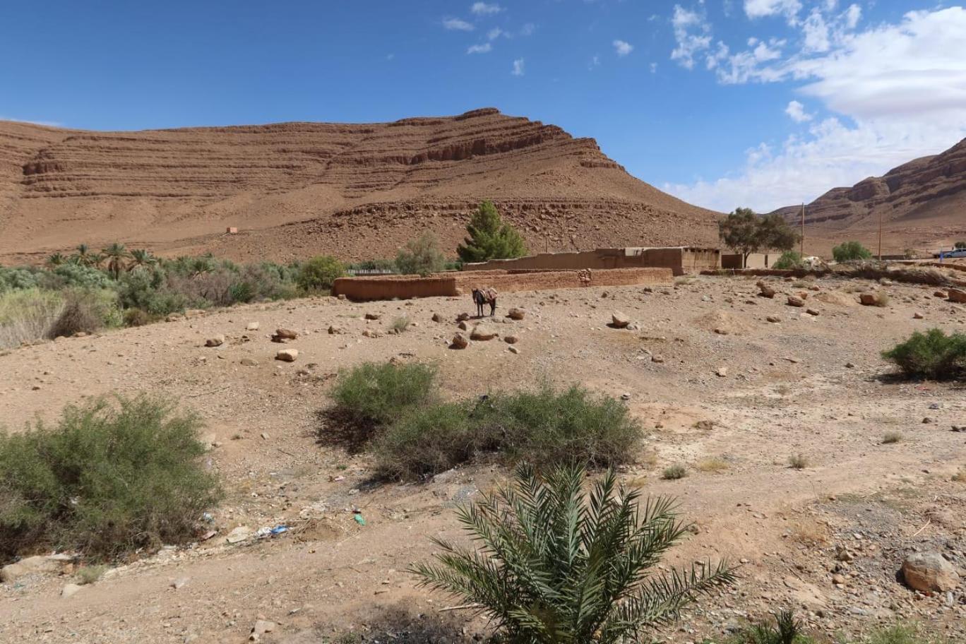 Gite D'Etape Ziz Oasis Achbarou Extérieur photo