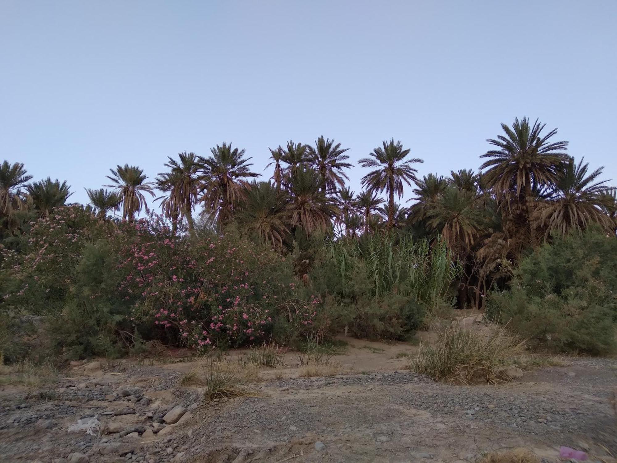 Gite D'Etape Ziz Oasis Achbarou Extérieur photo