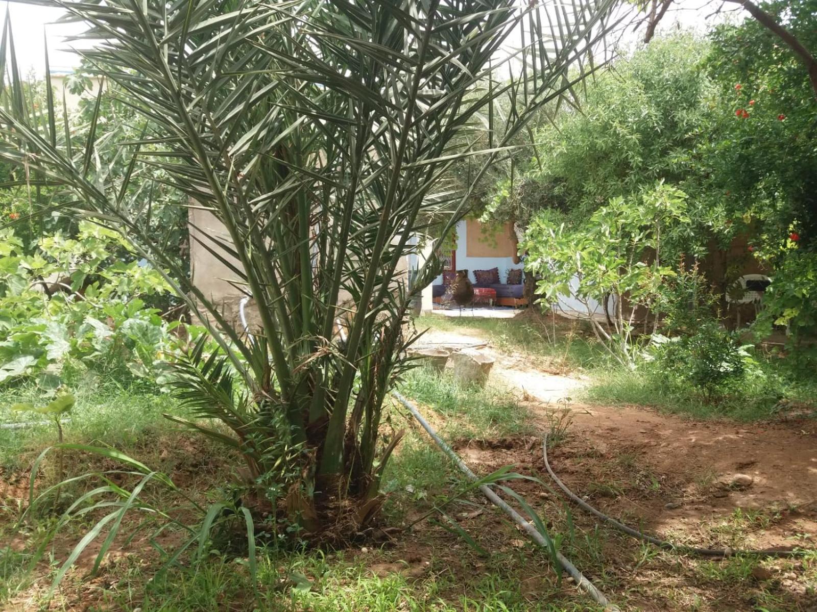 Gite D'Etape Ziz Oasis Achbarou Extérieur photo